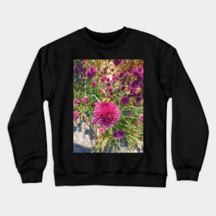 Allium Patient BEE Crewneck Sweatshirt